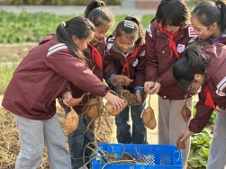 微信图片_20251202093214_203_6